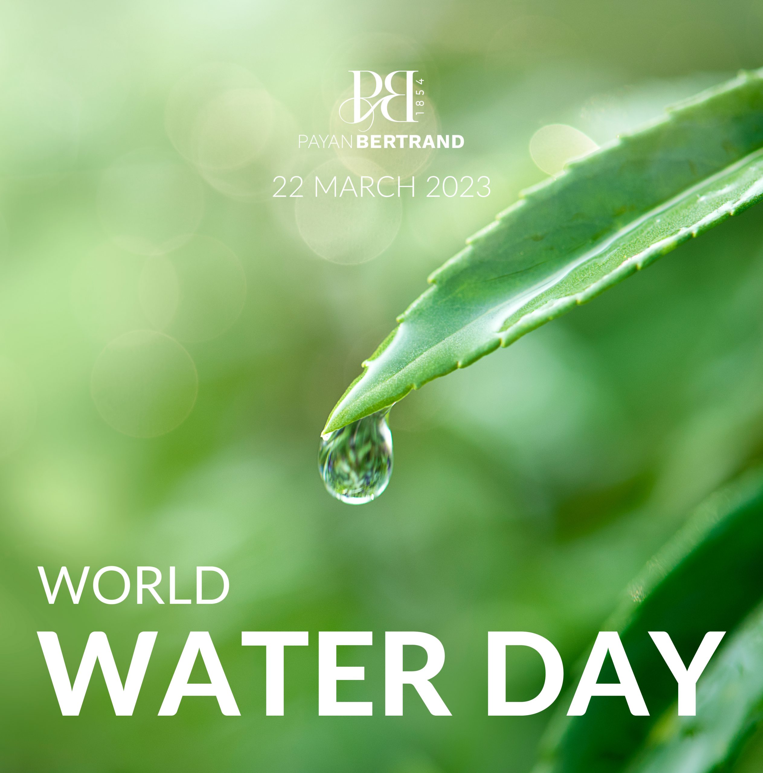 World water day 2024 Payan Bertrand